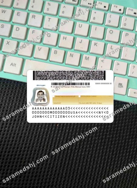 USA New York driving license under 21 (version 2) photolook BACK
